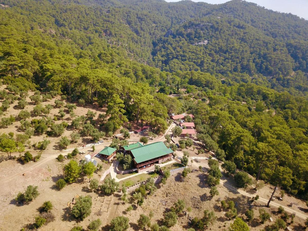 Candir Resort Restaurant Μούγκλα Εξωτερικό φωτογραφία