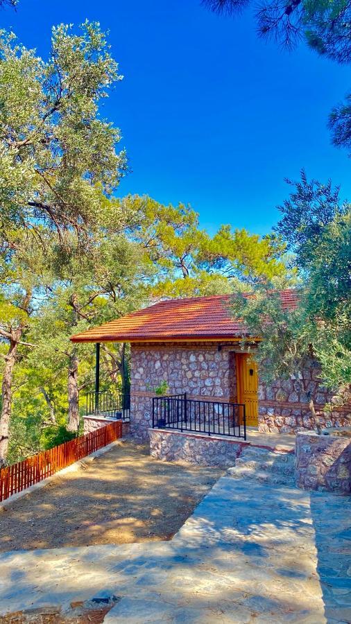 Candir Resort Restaurant Μούγκλα Εξωτερικό φωτογραφία